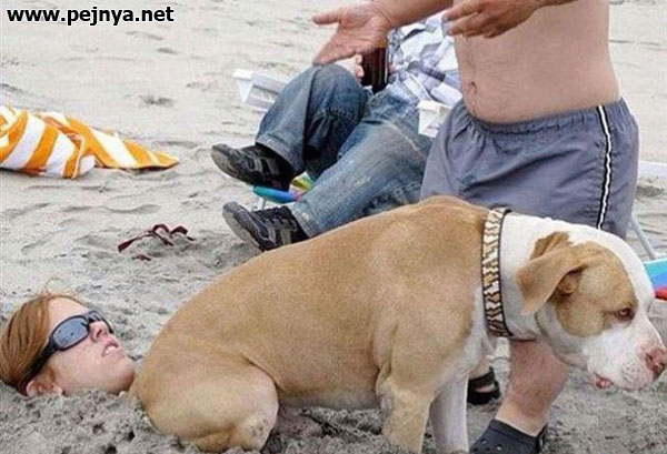 Лето, девушки , пляж (15) Фото №27